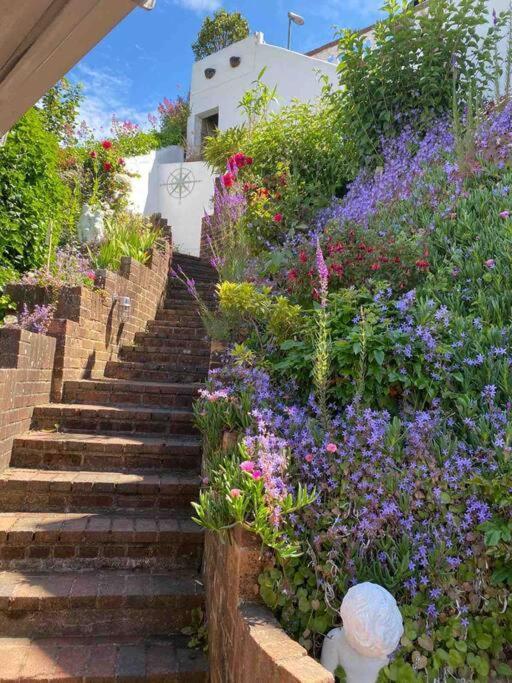 Luxury Detached House In Marina Torquay