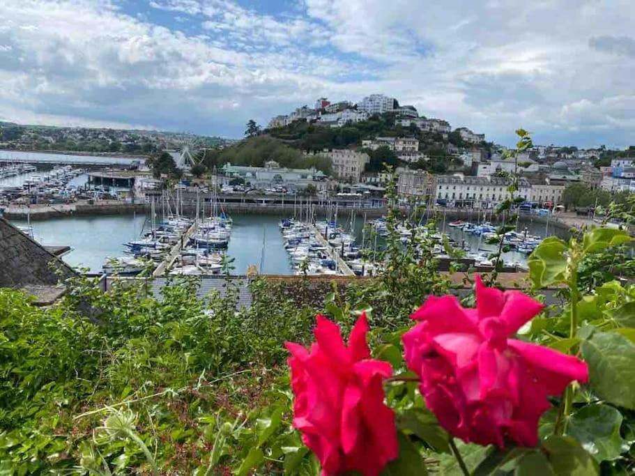 Luxury Detached House In Marina Holiday home Torquay